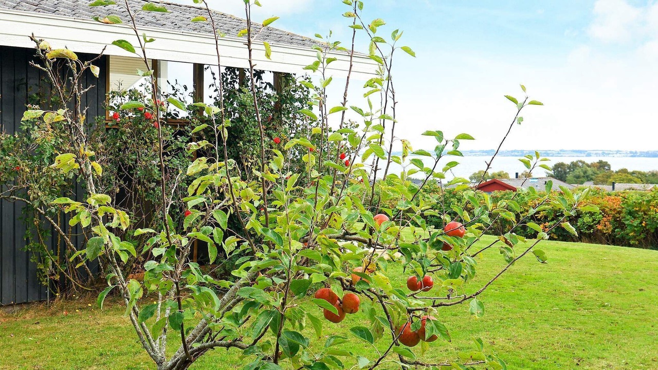 Photo of Outdoor in Helnæs By