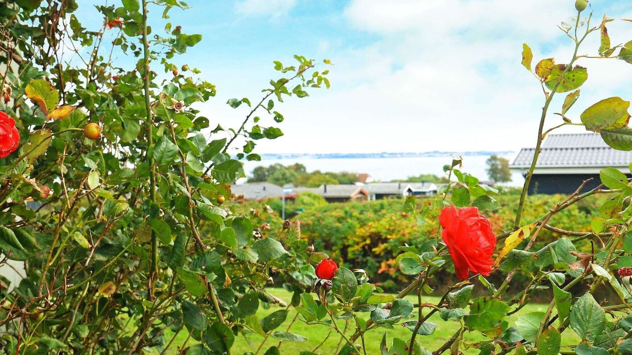 Photo of Outdoor in Helnæs By