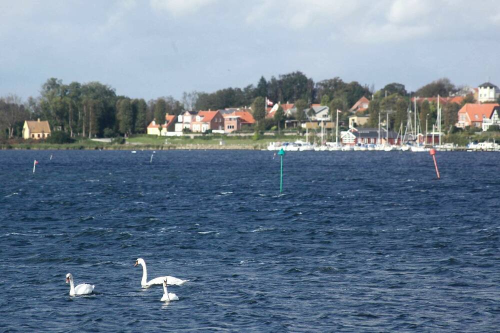 Photo of Others in Nysted