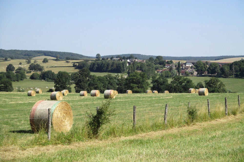 Photo of Outdoor in Lurcy-le-Bourg