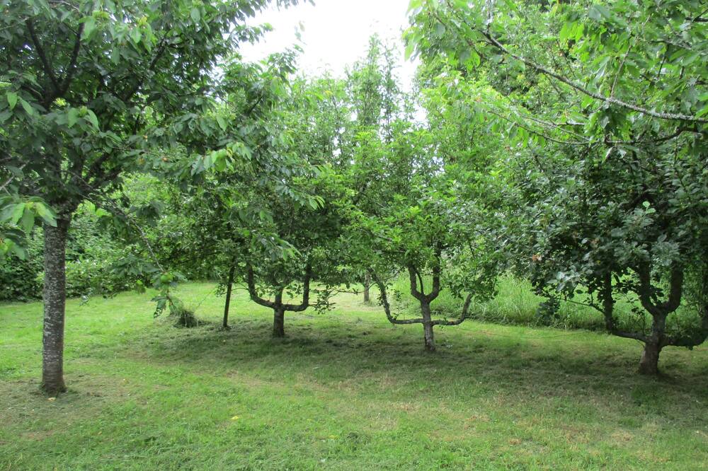 Photo of Outdoor in Lurcy-le-Bourg