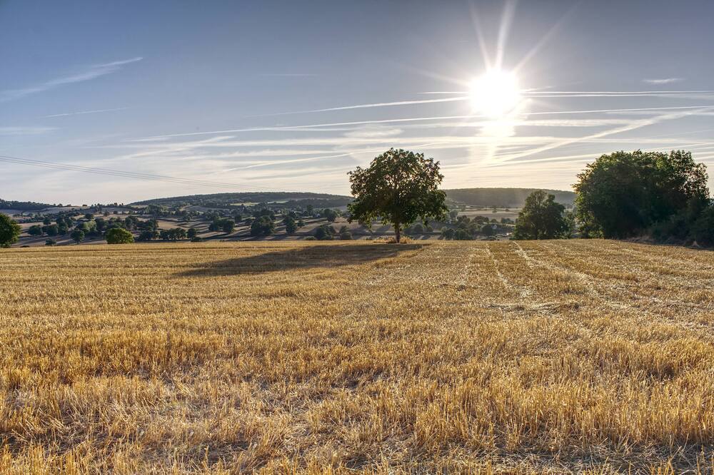 Photo of Outdoor in Lurcy-le-Bourg