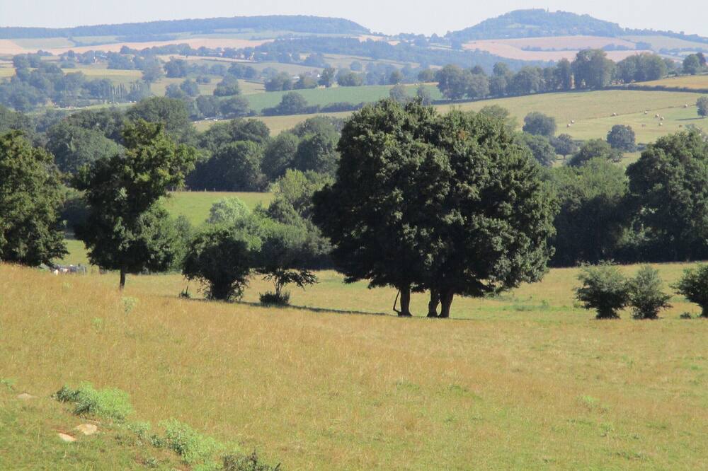 Photo of Outdoor in Lurcy-le-Bourg