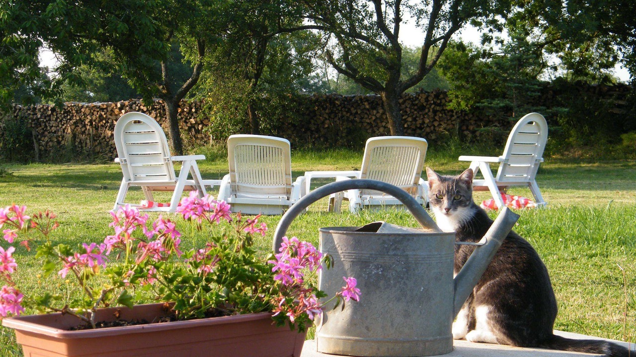 Photo of Others in Maconge