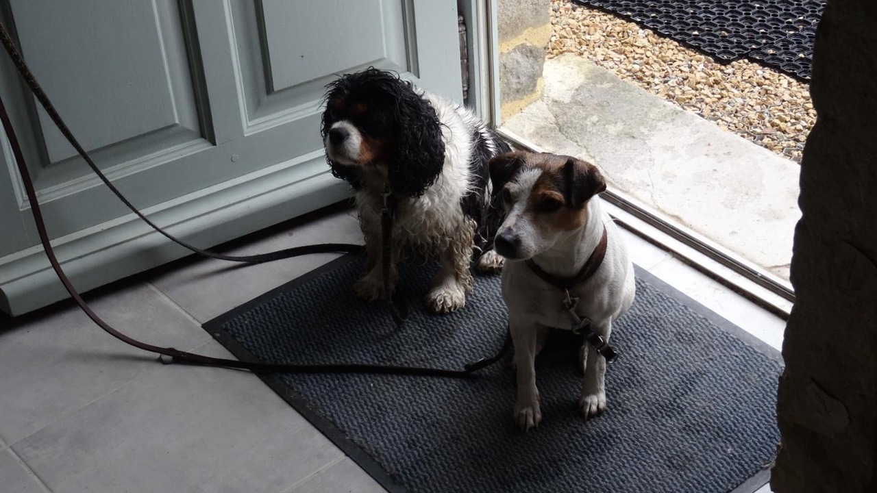 Photo of Others in Maconge