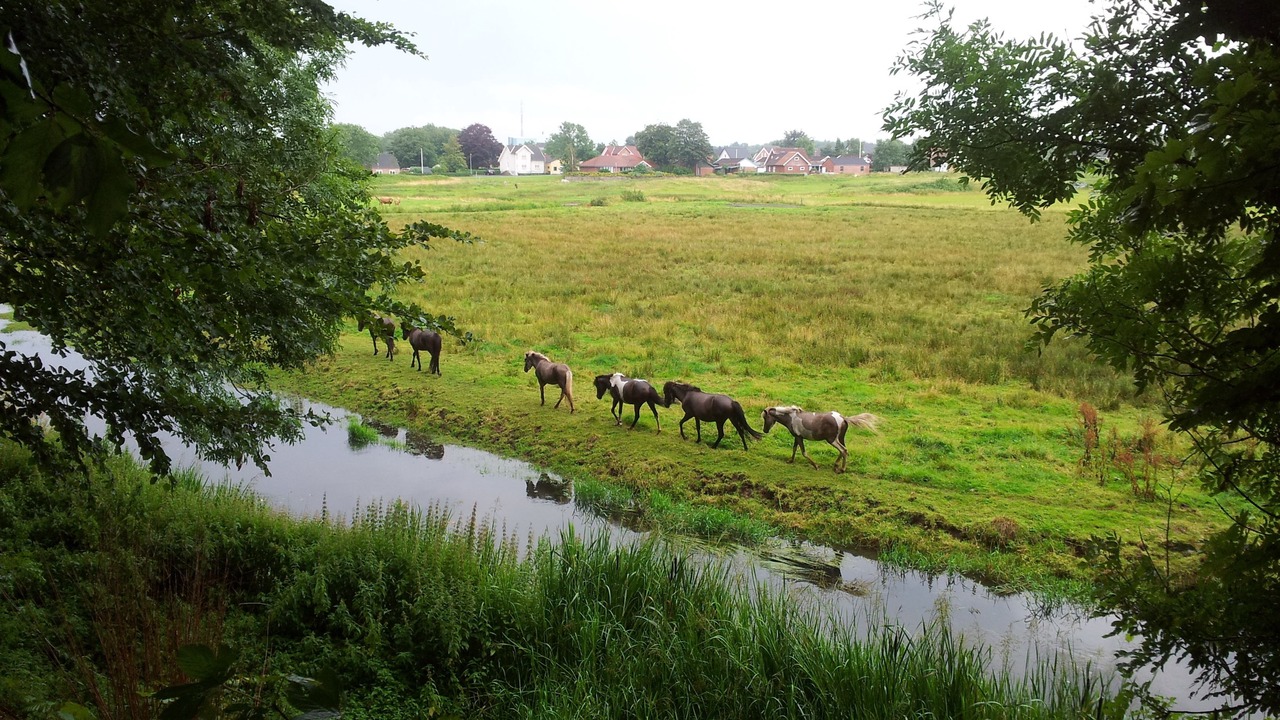 Photo of Outdoor in Gording