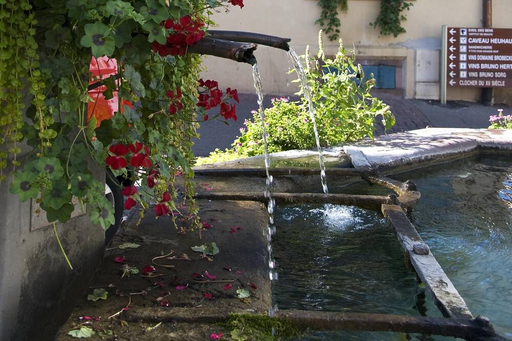 Photo of Outdoor in Eguisheim
