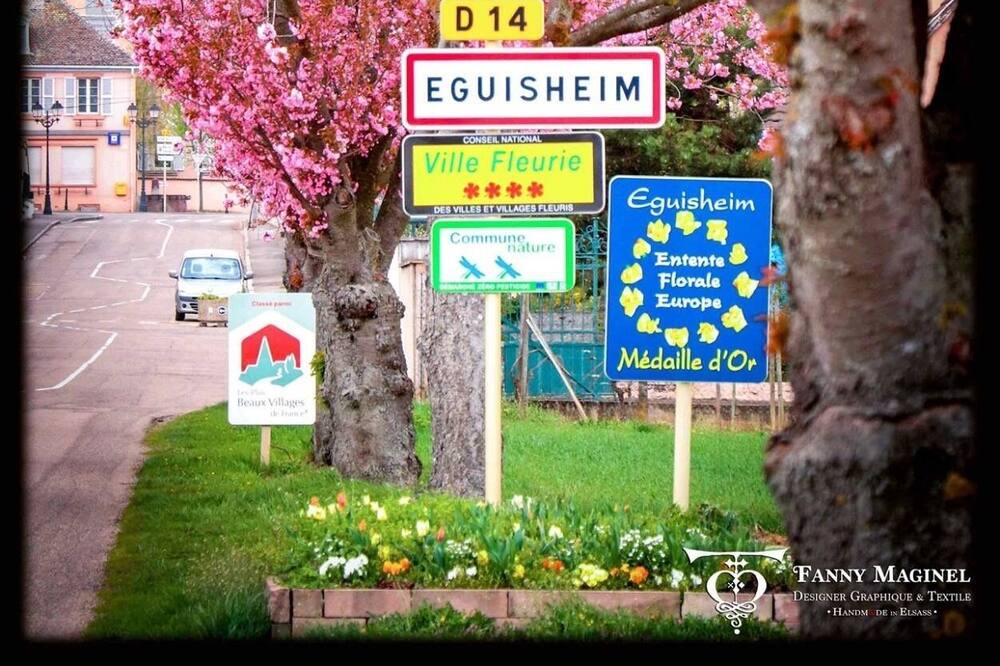 Photo of Outdoor in Eguisheim