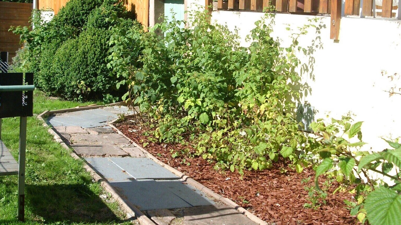 Photo of Outdoor in Raon-sur-Plaine