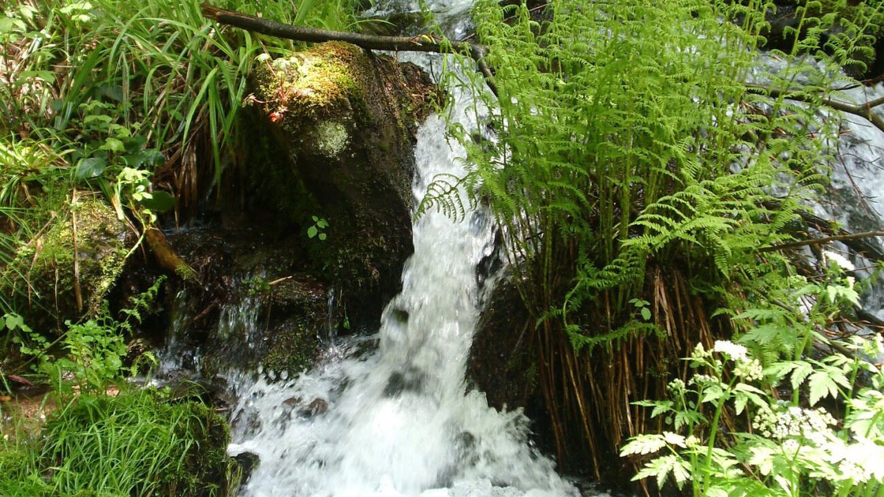 Photo of Outdoor in Raon-sur-Plaine