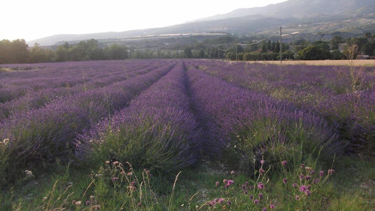 Photo of Outdoor in Saint-Sauveur-Gouvernet