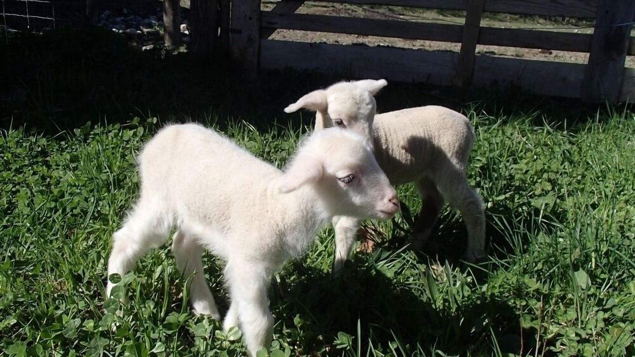 Photo of Outdoor in Saint-Sauveur-Gouvernet