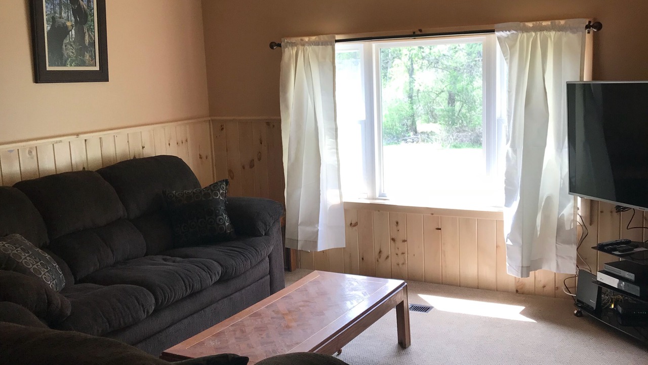 Photo of Livingroom in Adirondack
