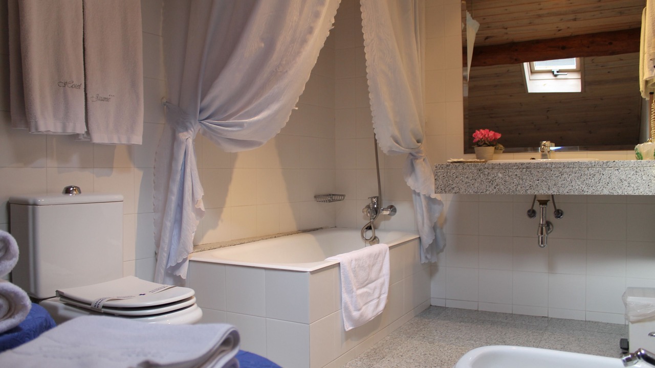 Photo of Bathroom in Alp