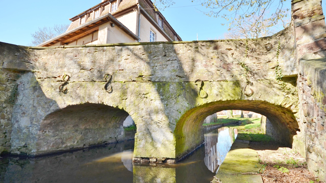 Photo of Outdoor in Stotzheim