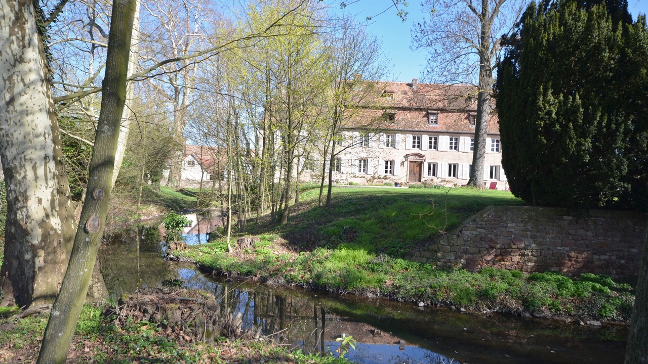 Photo of Outdoor in Stotzheim