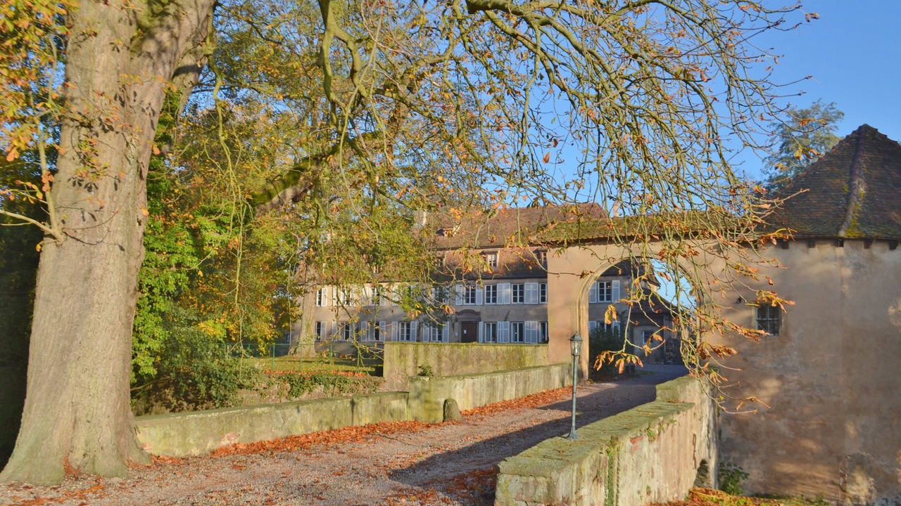 Photo of Outdoor in Stotzheim