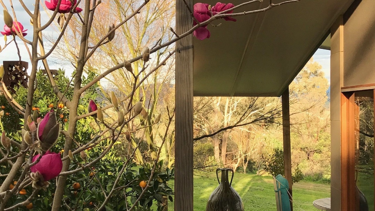 Photo of Outdoor in Dixons Creek