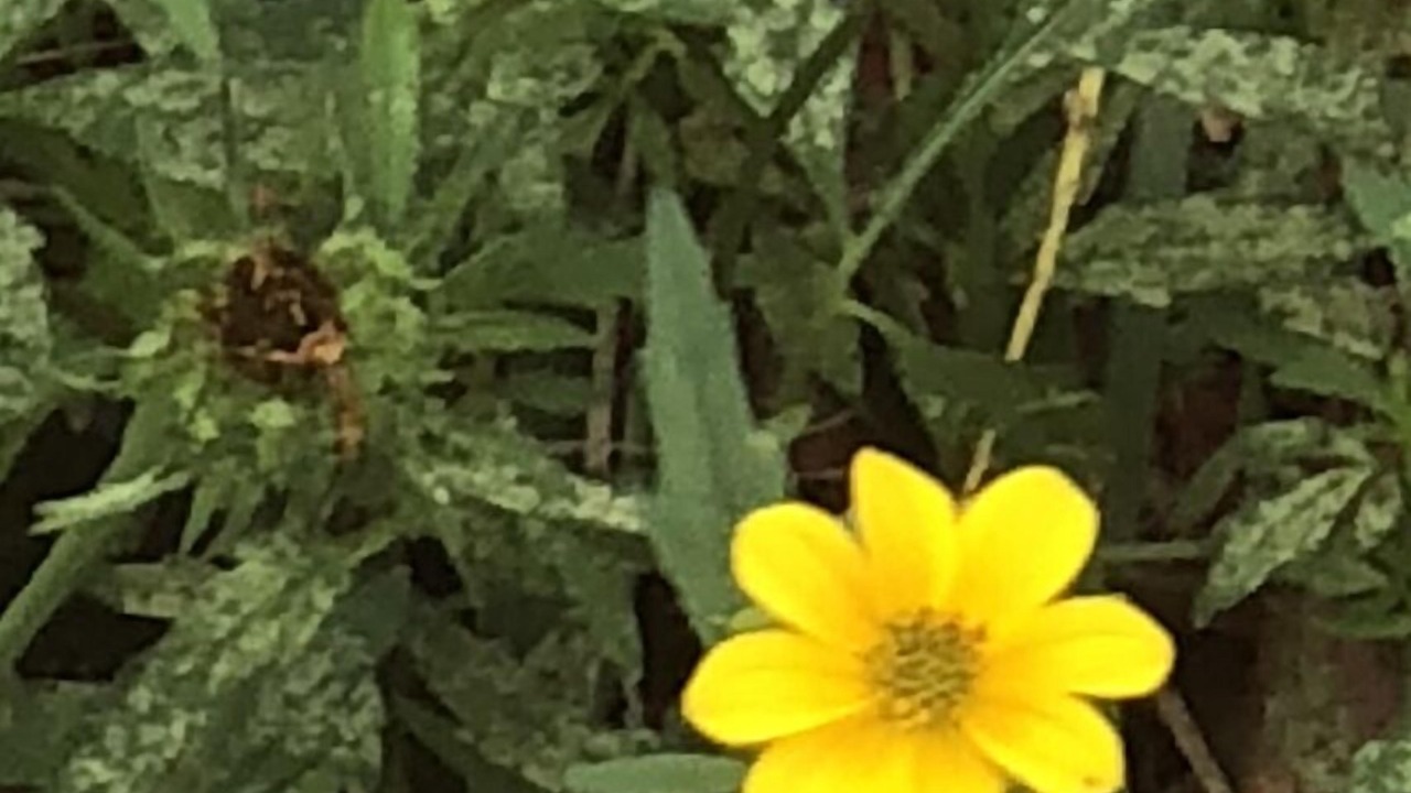 Photo of Outdoor in Princess Anne