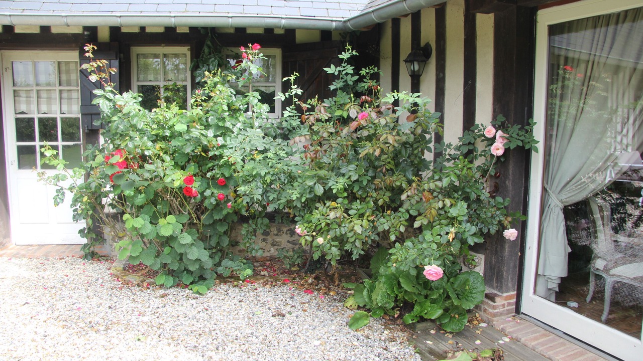 Photo of Outdoor in Epaignes