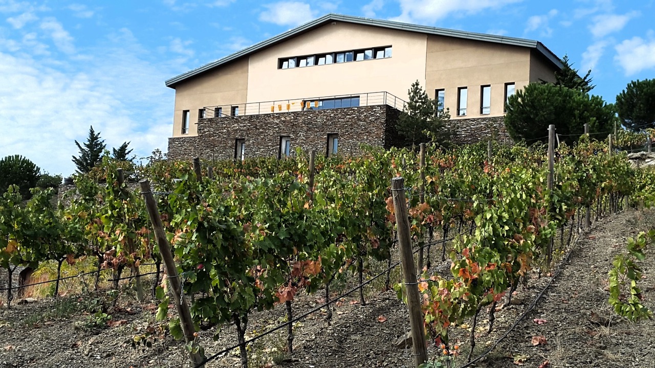 Photo of Outdoor in Gratallops