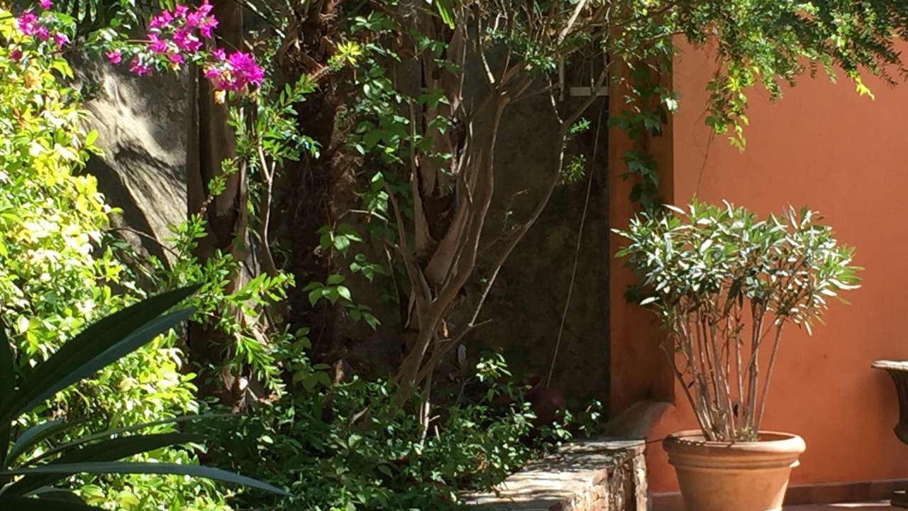 Photo of Outdoor in Bormes-Les-Mimosas