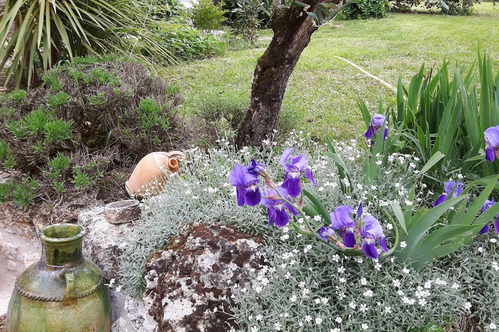 Photo of Outdoor in Marsolan