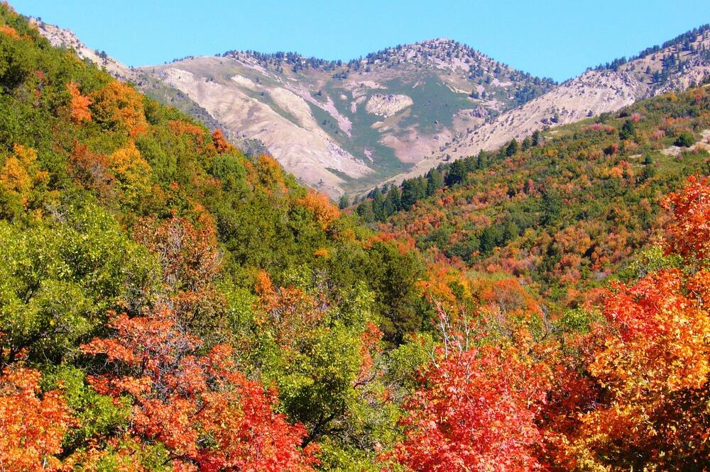 Photo of Others in Powder Mountain