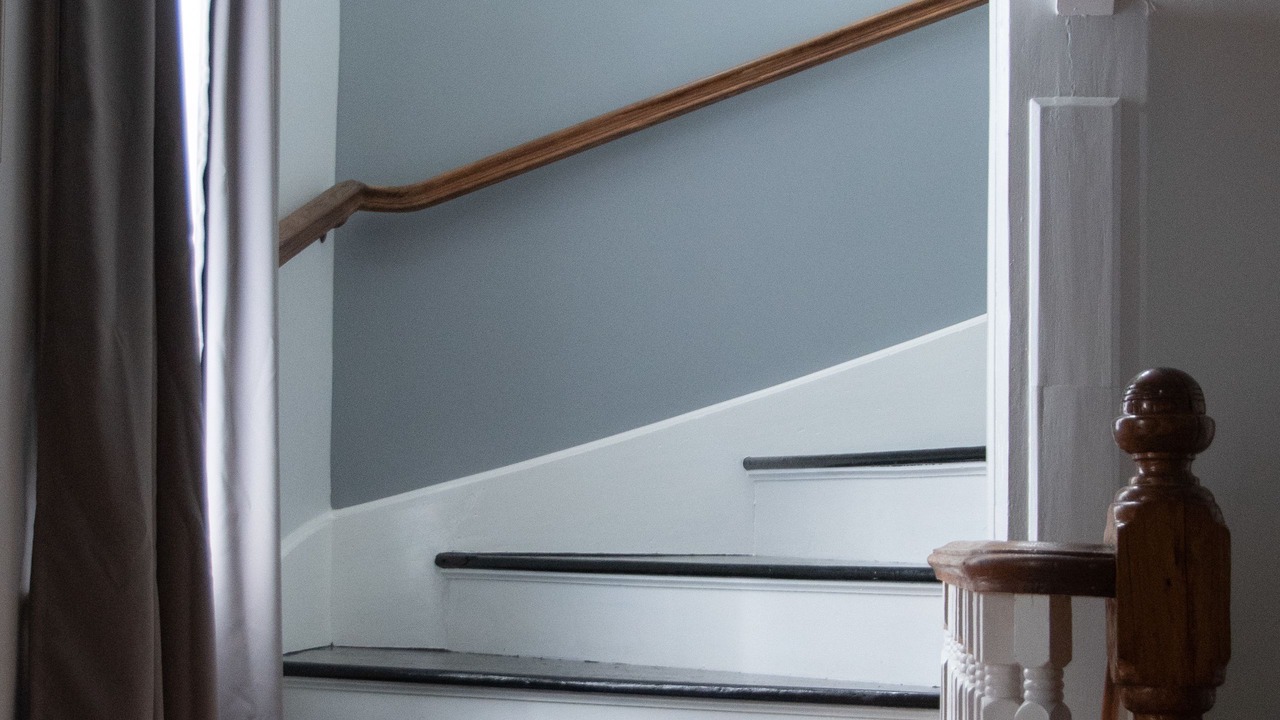 Photo of Others in Bay Shore