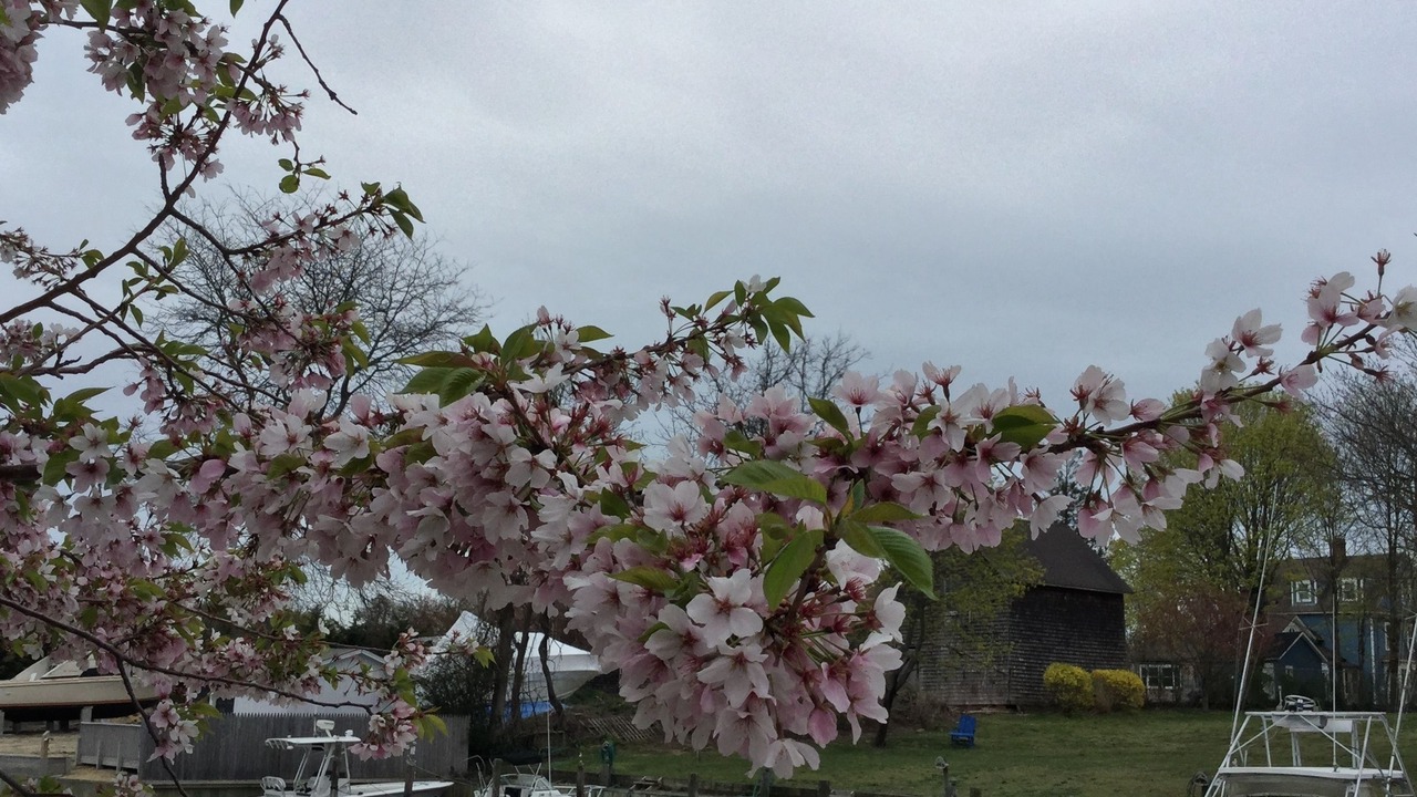 Photo of Outdoor in Bay Shore