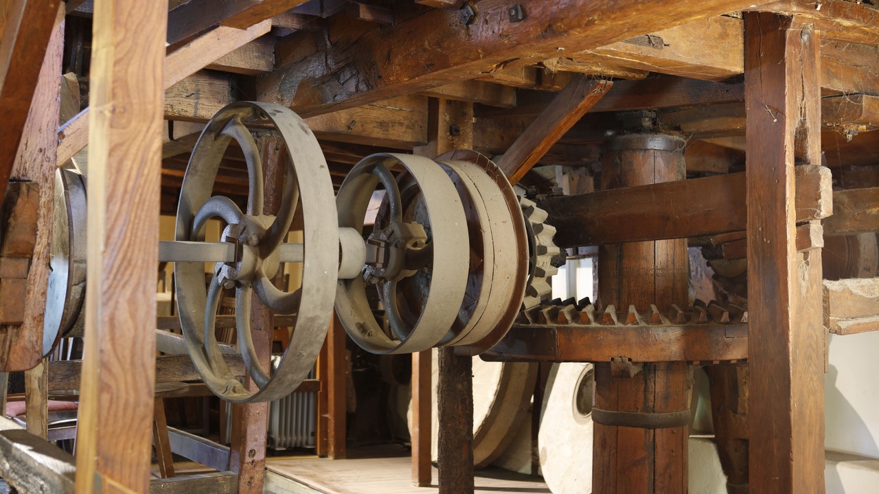 Photo of Others in Lychpit