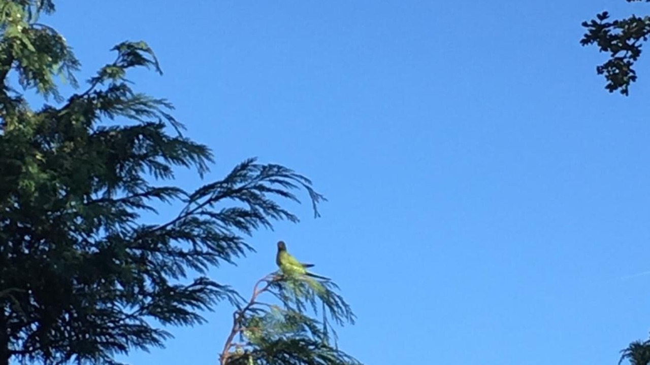 Photo of Outdoor in Cray Valley East