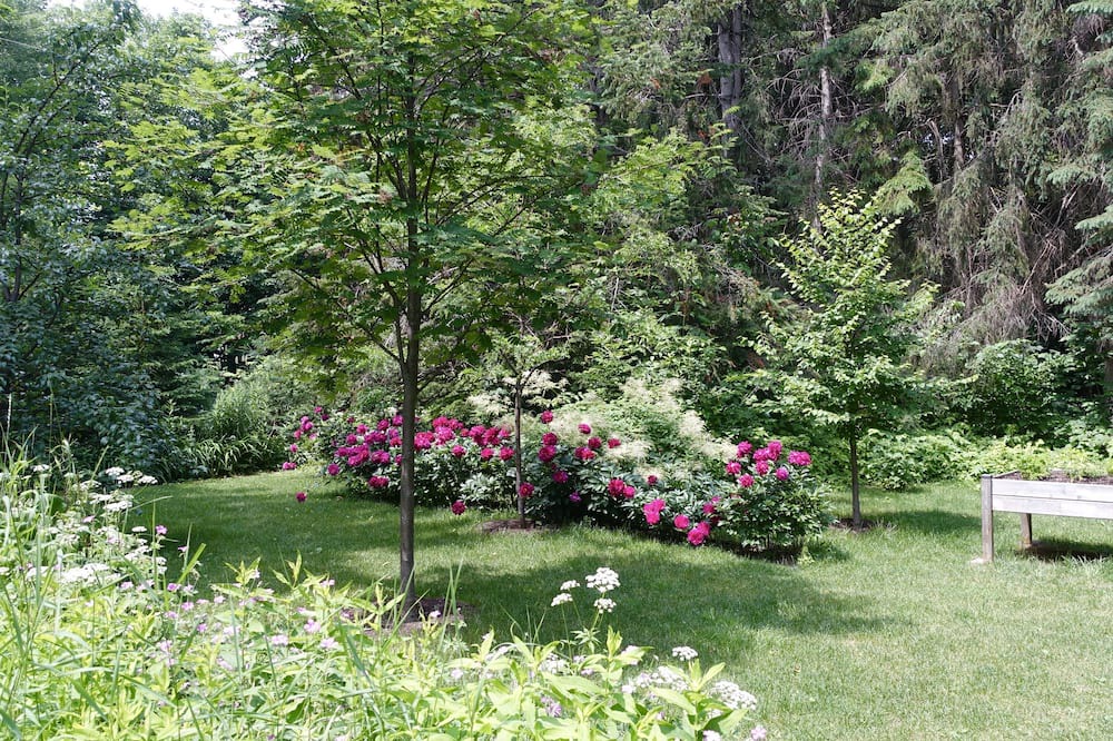 Photo of Outdoor in Saint-Laurent-de-l'ile d'Orleans