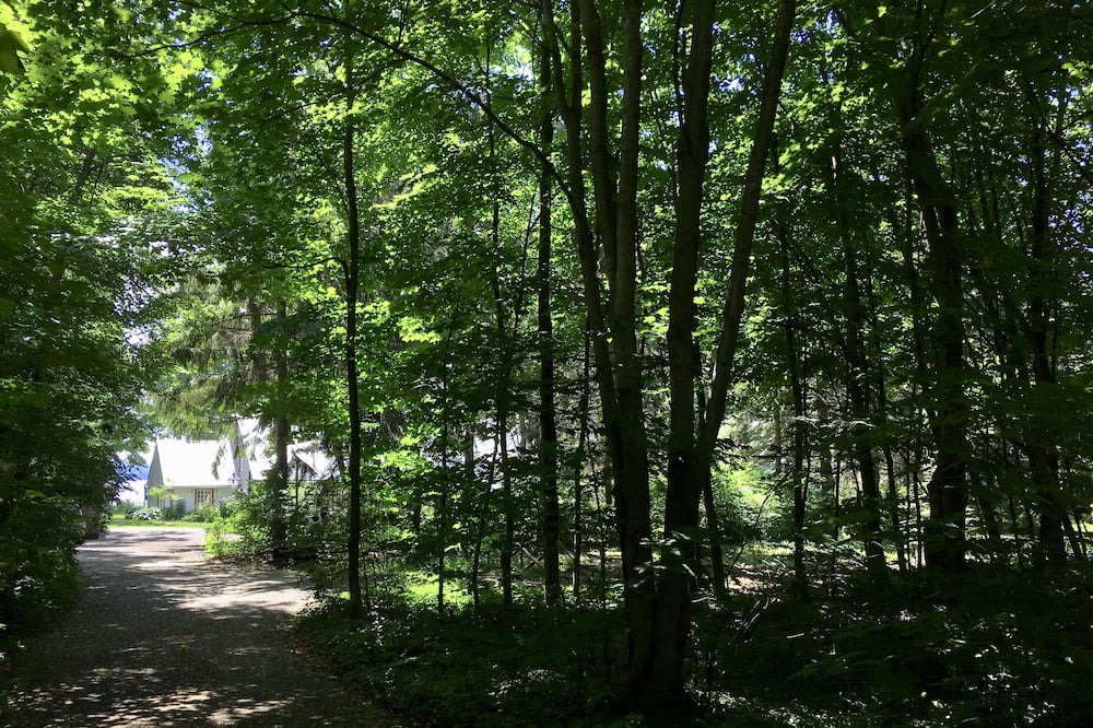 Photo of Outdoor in Saint-Laurent-de-l'ile d'Orleans