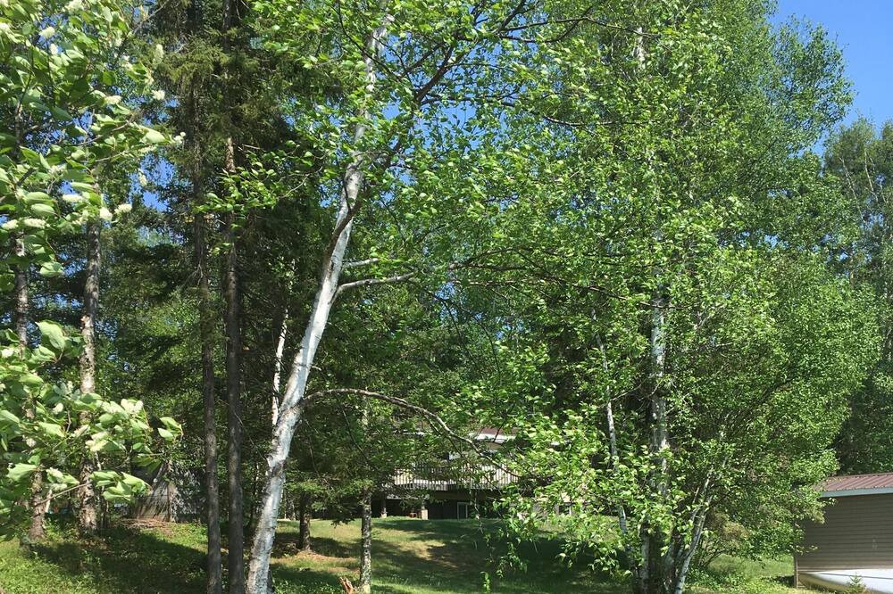 Photo of Outdoor in Brimson