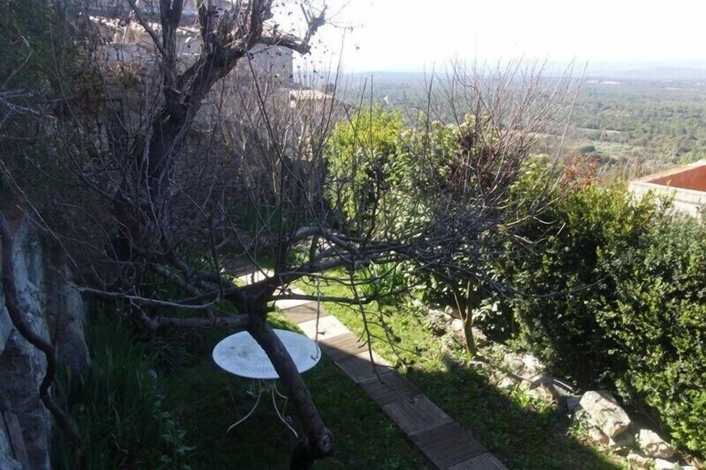 Photo of Others in Saint-Julien