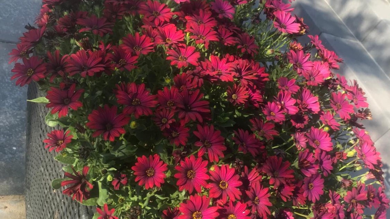 Photo of Outdoor in Viborg