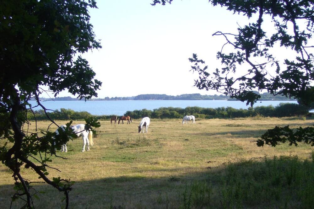 Photo of Outdoor in Ile-aux-Moines