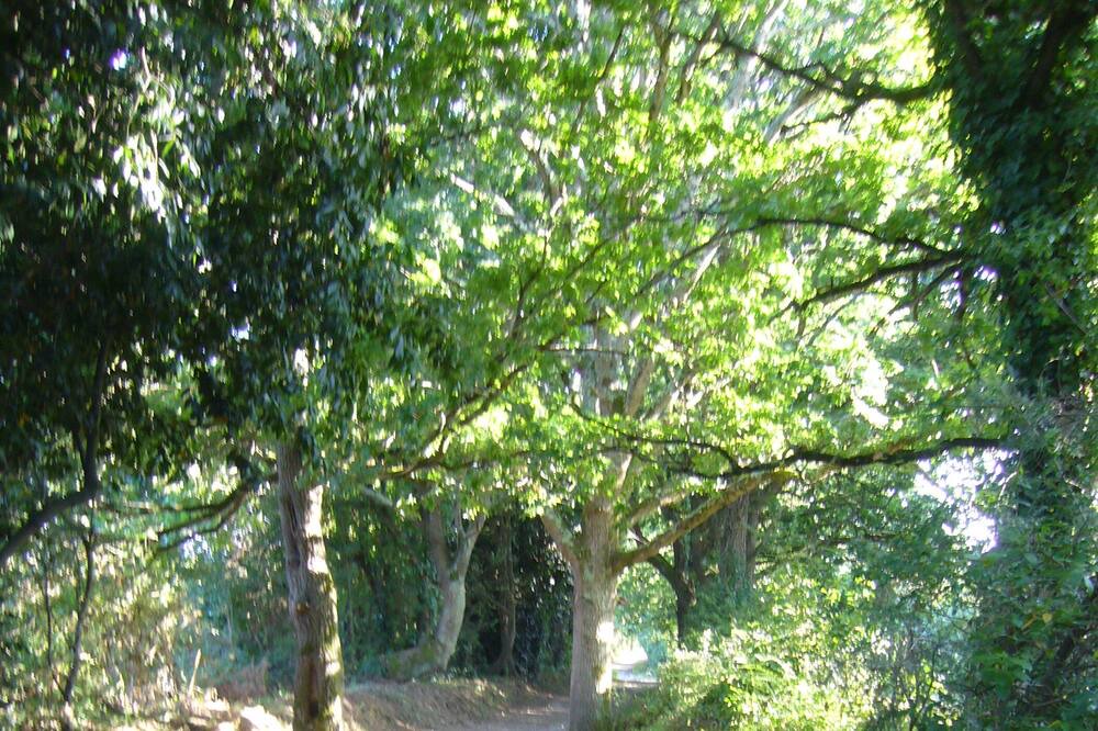 Photo of Outdoor in Ile-aux-Moines