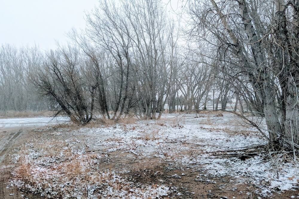Photo of Outdoor in Lonergan