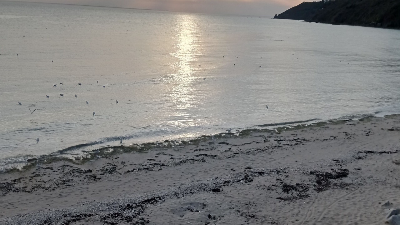 Photo of Outdoor in Saint-Jean-le-Thomas