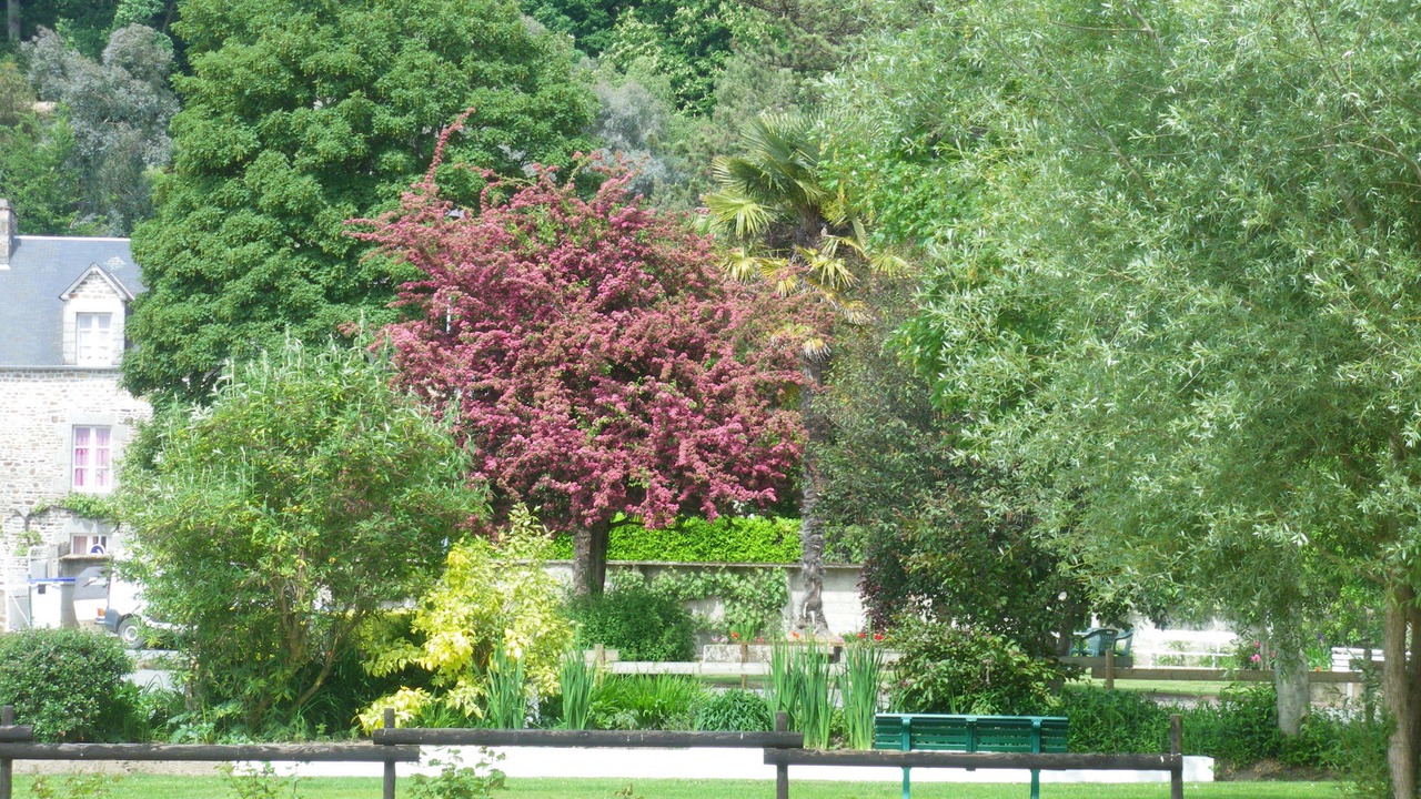 Photo of Outdoor in Saint-Jean-le-Thomas