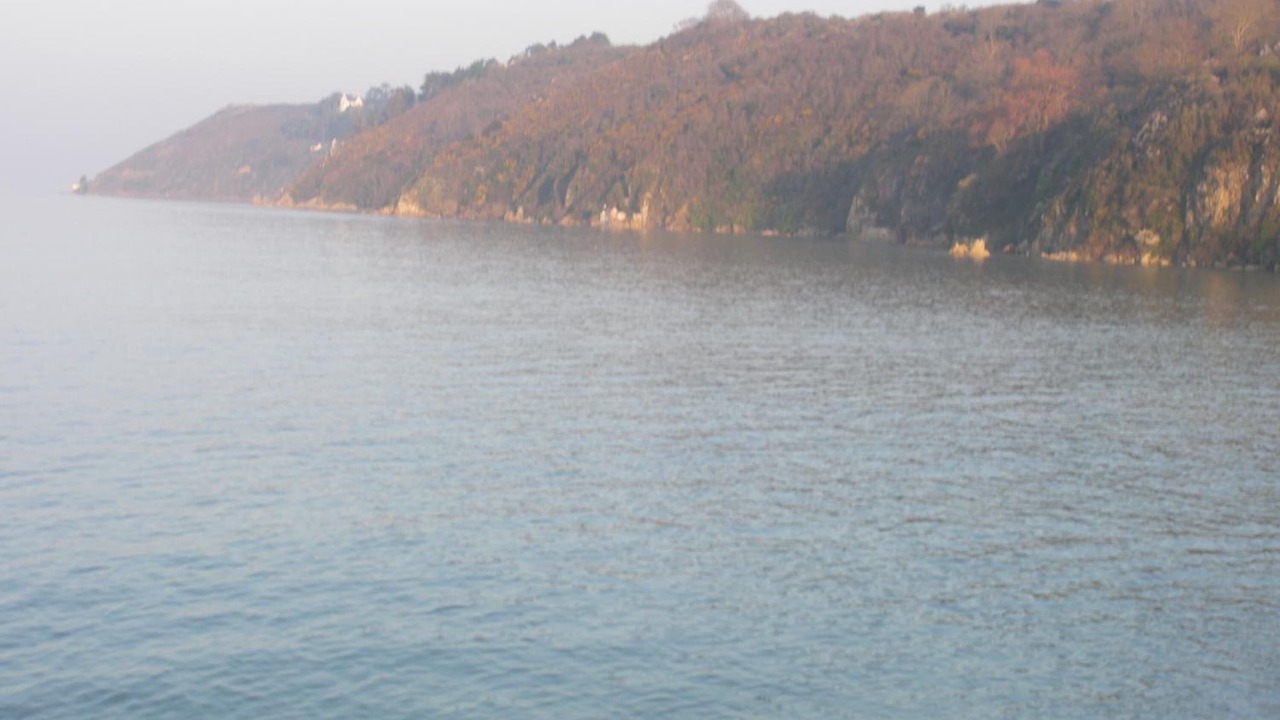 Photo of Others in Saint-Jean-le-Thomas