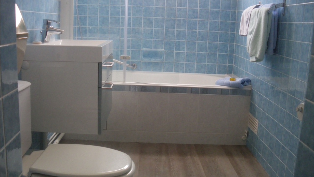 Photo of Bathroom in Saint-Jean-le-Thomas