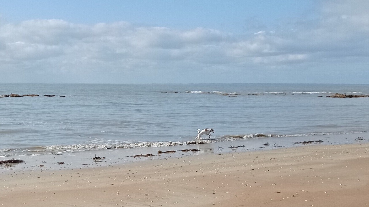 Photo of Outdoor in Saint-Jean-le-Thomas
