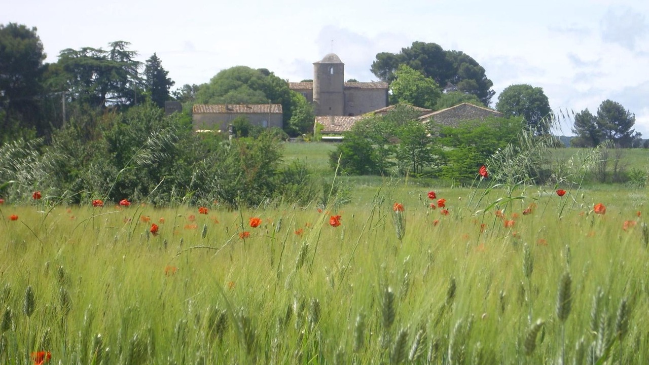 Photo of Outdoor in Galargues