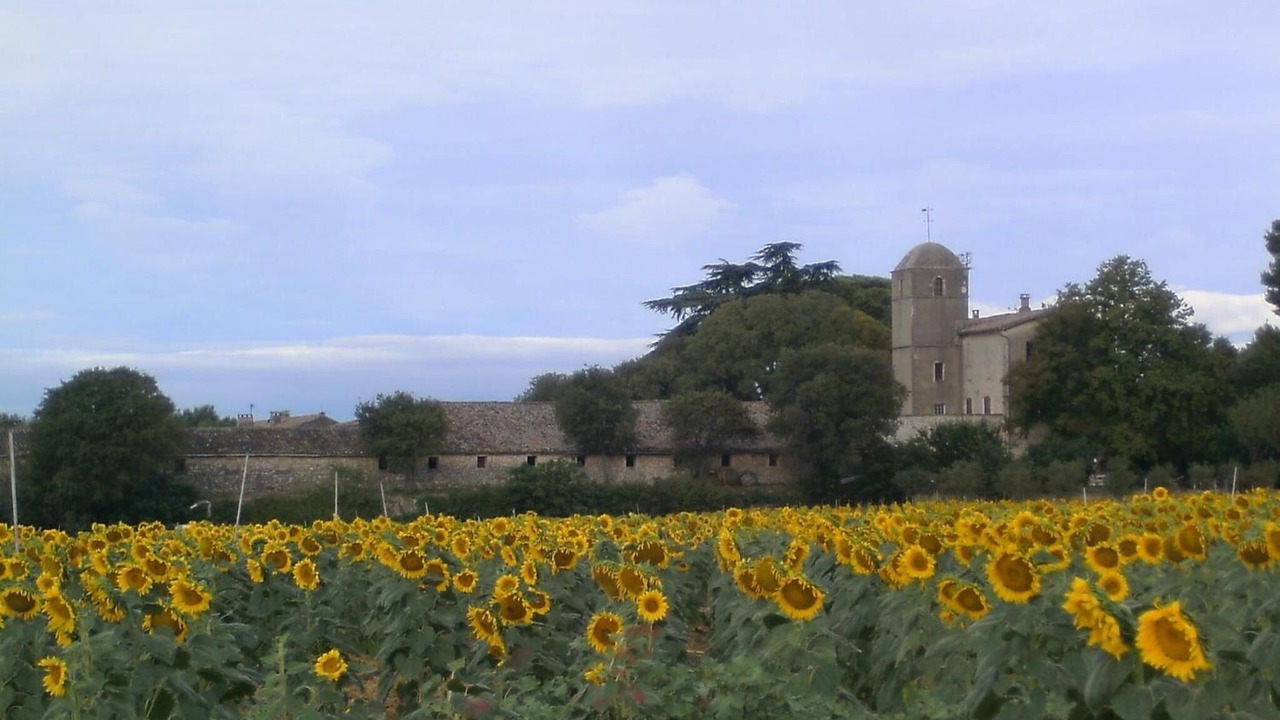 Photo of Outdoor in Galargues