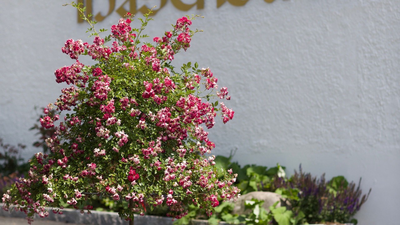 Photo of Outdoor in Hasenstrick