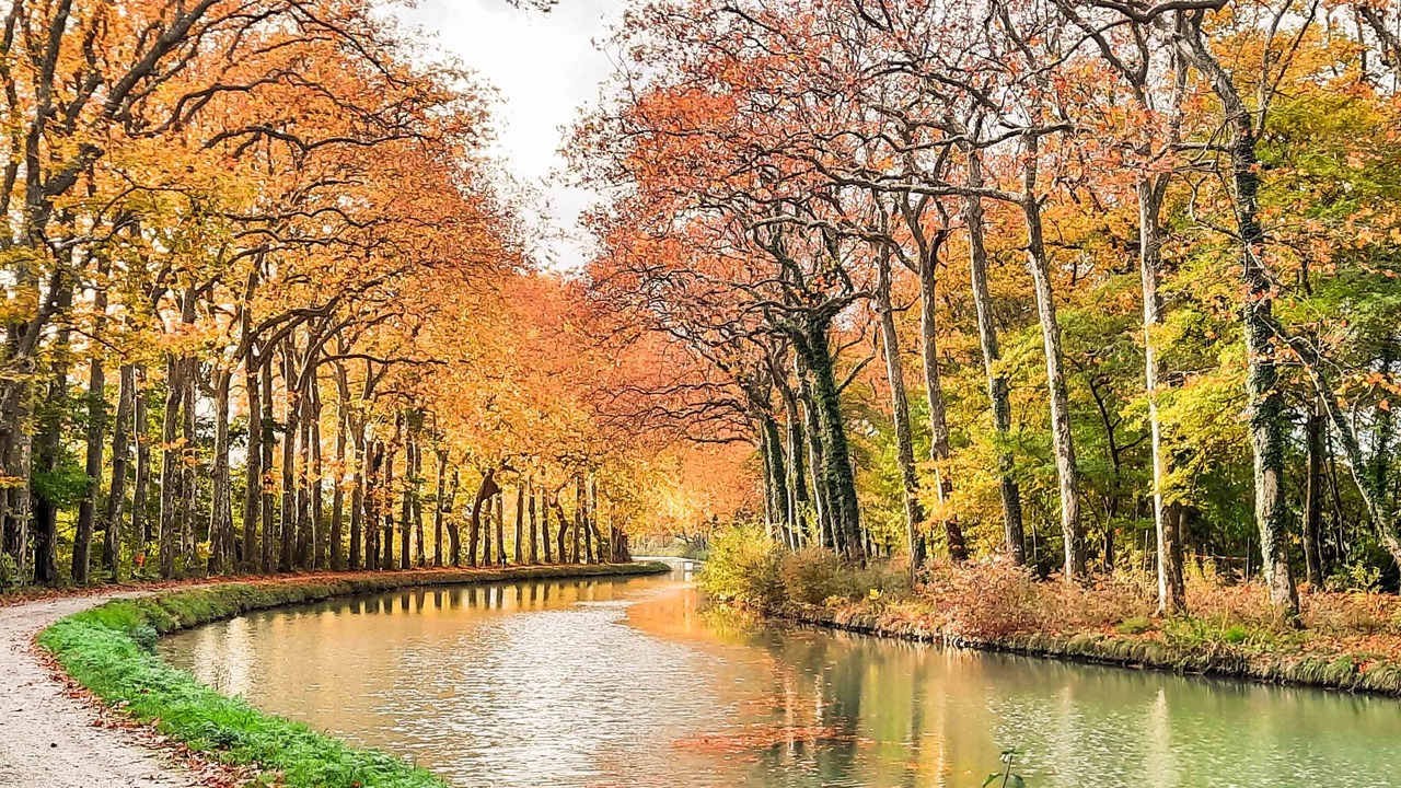 Photo of Outdoor in Castelnaudary
