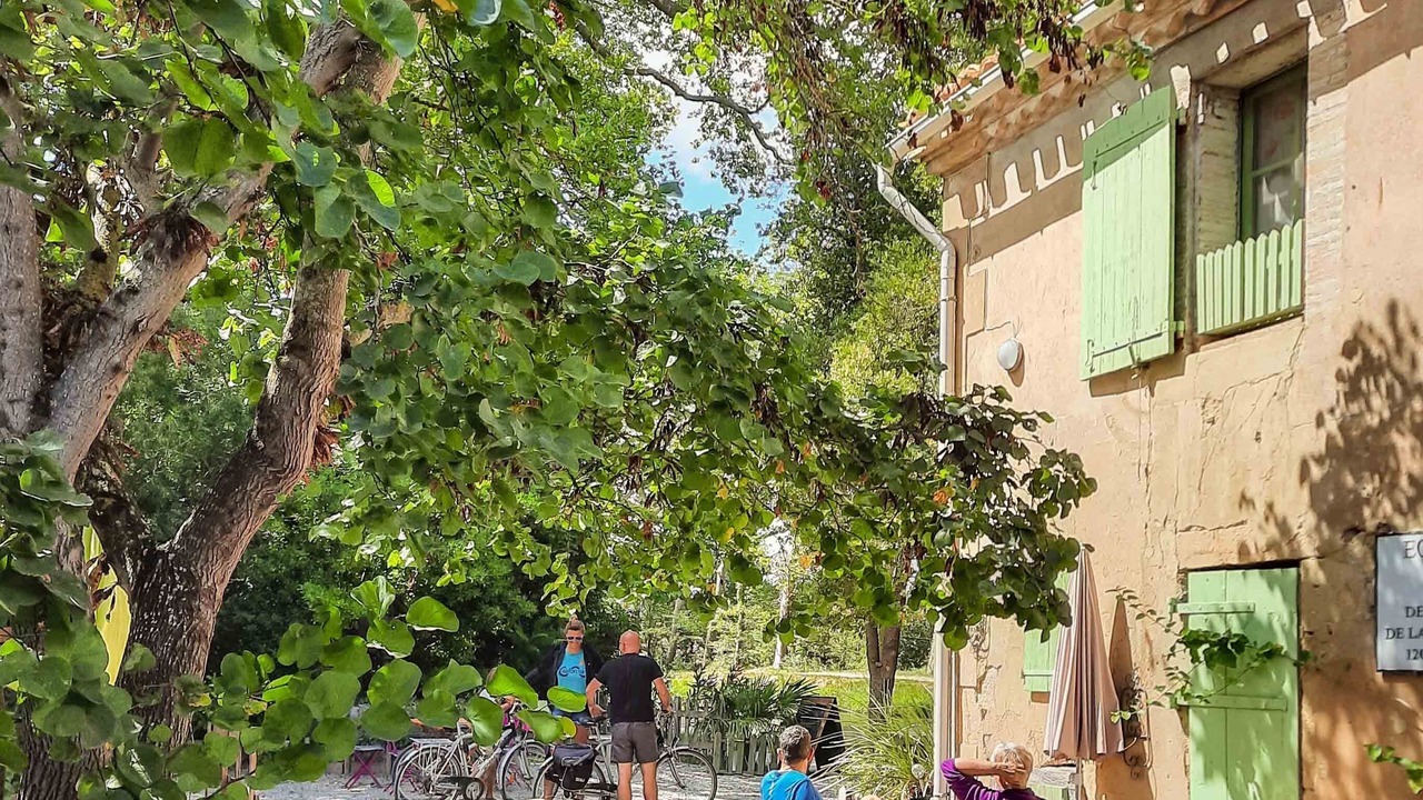 Photo of Others in Castelnaudary